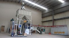 Running plant in Australia