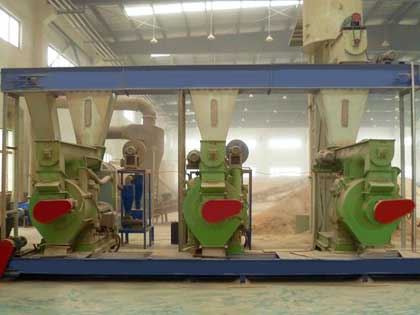 Large capacity pellet plant(1-6 T/H)