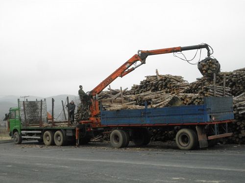 Running plant in Serbia with capacity 2TPH