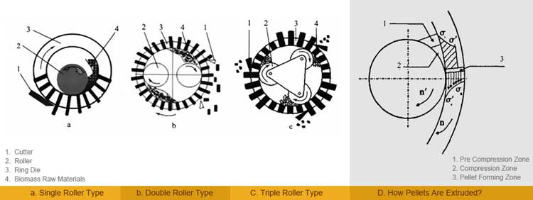 ring die pellet machine process