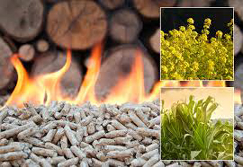 biomass pellets