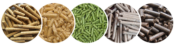 pellets made by flat die pellet mills