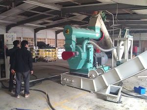 1t/h wood waste pelletizing system at Redruth of Cornwall UK