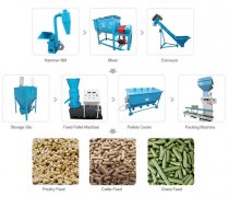 1 ton/h feed pellet plant in India